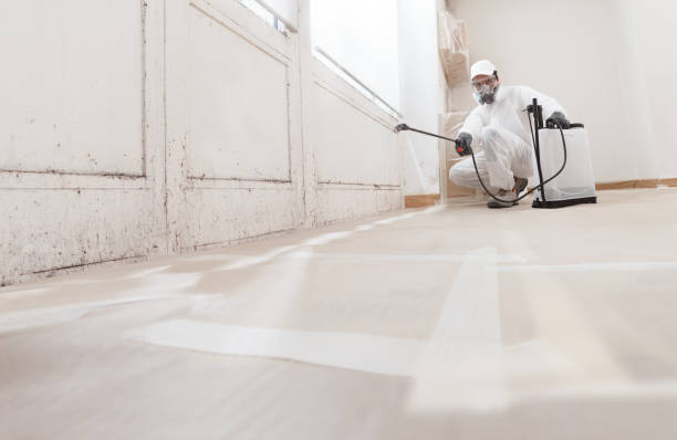 24/7 Emergency Mold Remediation experts in Narberth, PA